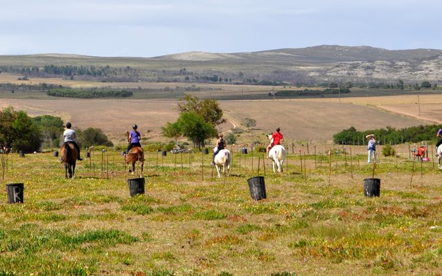 Gansbaai Perde Boersport BBos 3